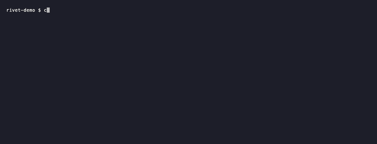 rivet names a mistyped config field and suggests the correct one